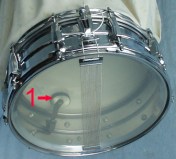 Snare Anatomy (interior)